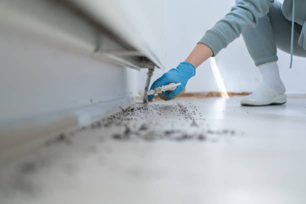 Pest Control Cost in Star, ID