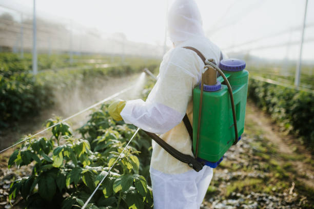 Best Flea Control Services  in Star, ID